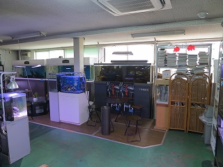 みつい園 Aqua Design Amano 販売特約店