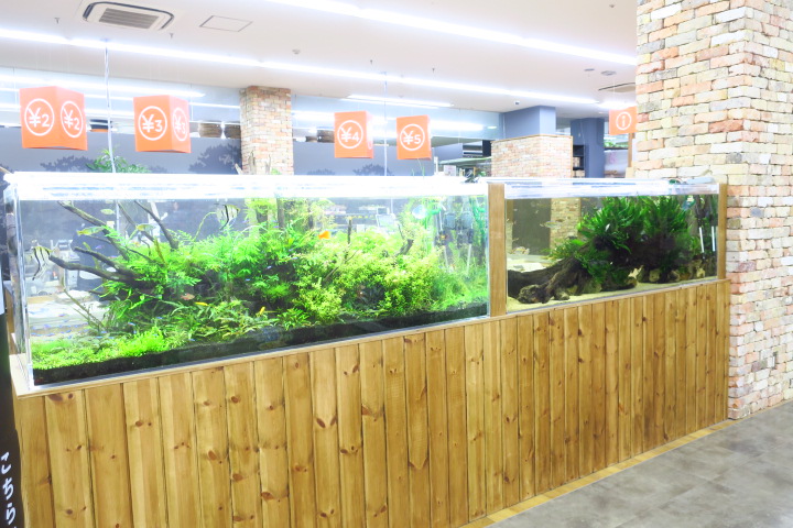 オザキフラワーパーク Aqua Design Amano 販売特約店
