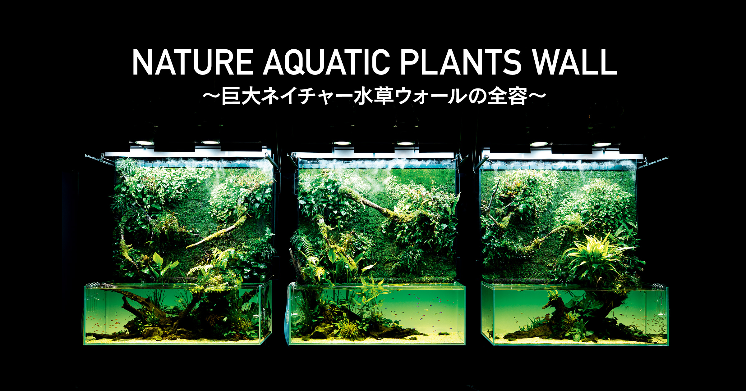 「天野 尚 NATURE AQUARIUM 展」〜巨大ネイチャー水草ウォールの全容〜