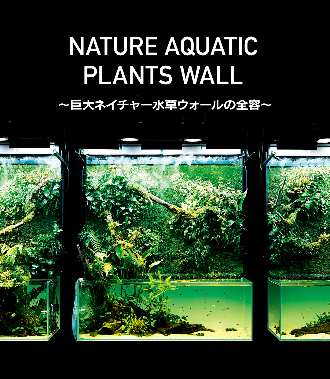 「天野 尚 NATURE AQUARIUM 展」〜巨大ネイチャー水草ウォールの全容〜