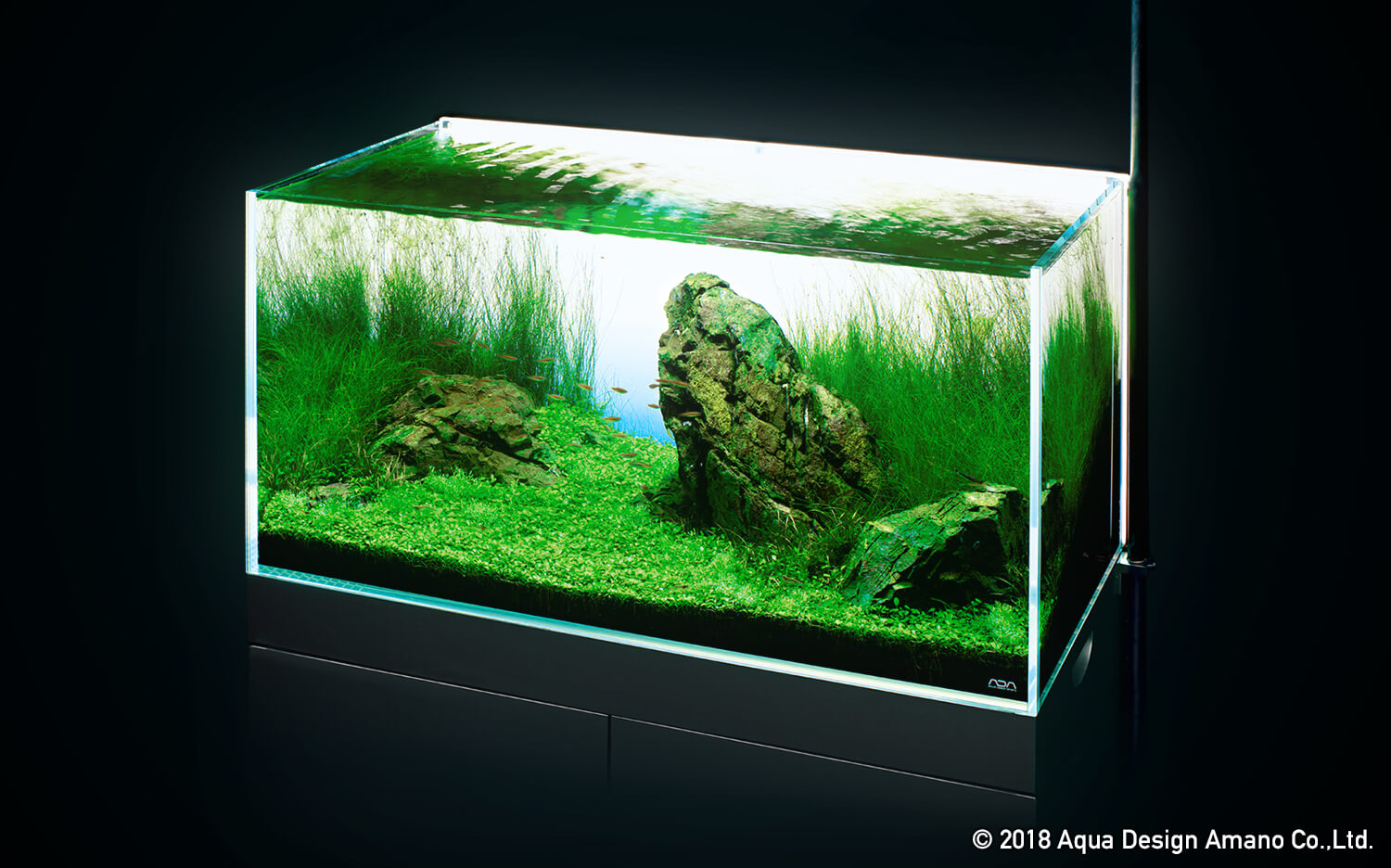 ADA AQUASKY G 60cm  アクアデザインアマノ