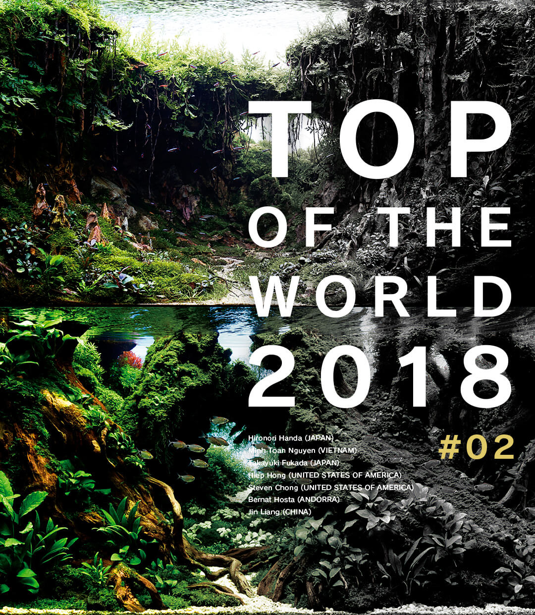 TOP OF THE WORLD 2018 #02