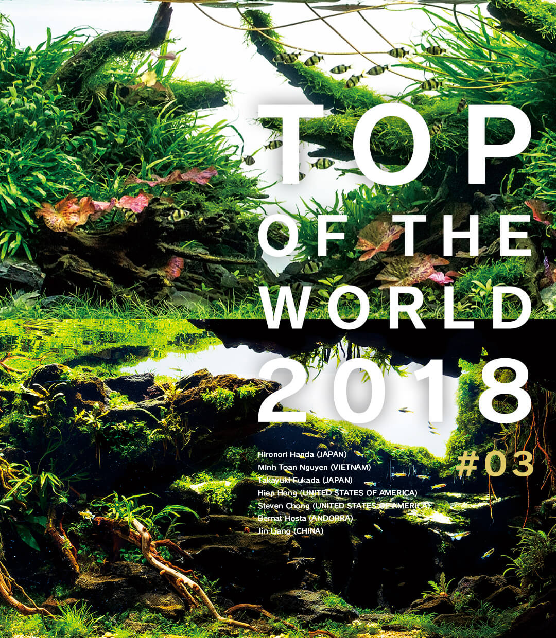 TOP OF THE WORLD 2018 #03