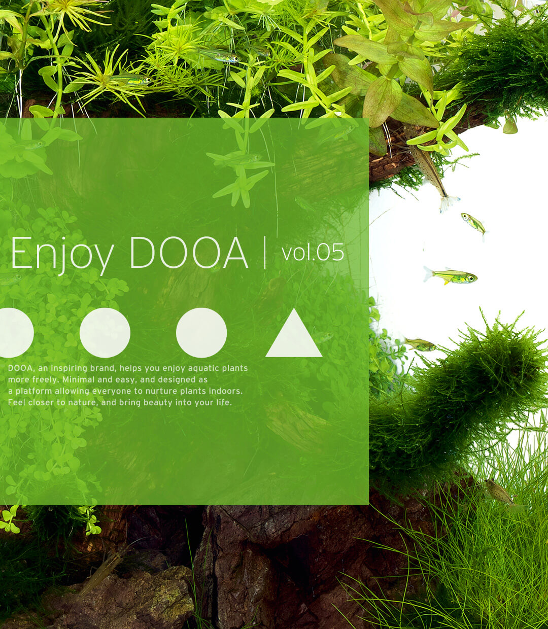Enjoy DOOA vol.05 流木で開放感を演出した小型水槽