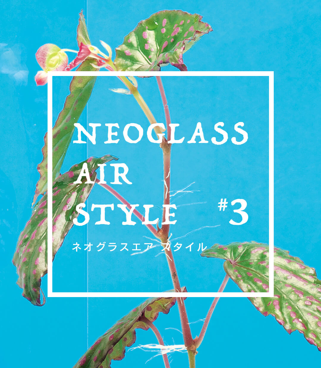 ネオグラスエア スタイル #03「人と植物、それぞれの 生活空間をシームレスにつなぐ」