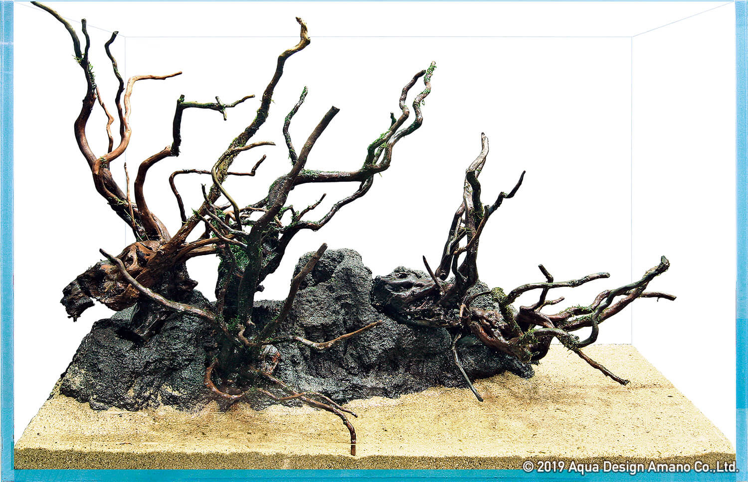 素材で決まる水景の印象-流木の組み方- | NEWS | DOOA