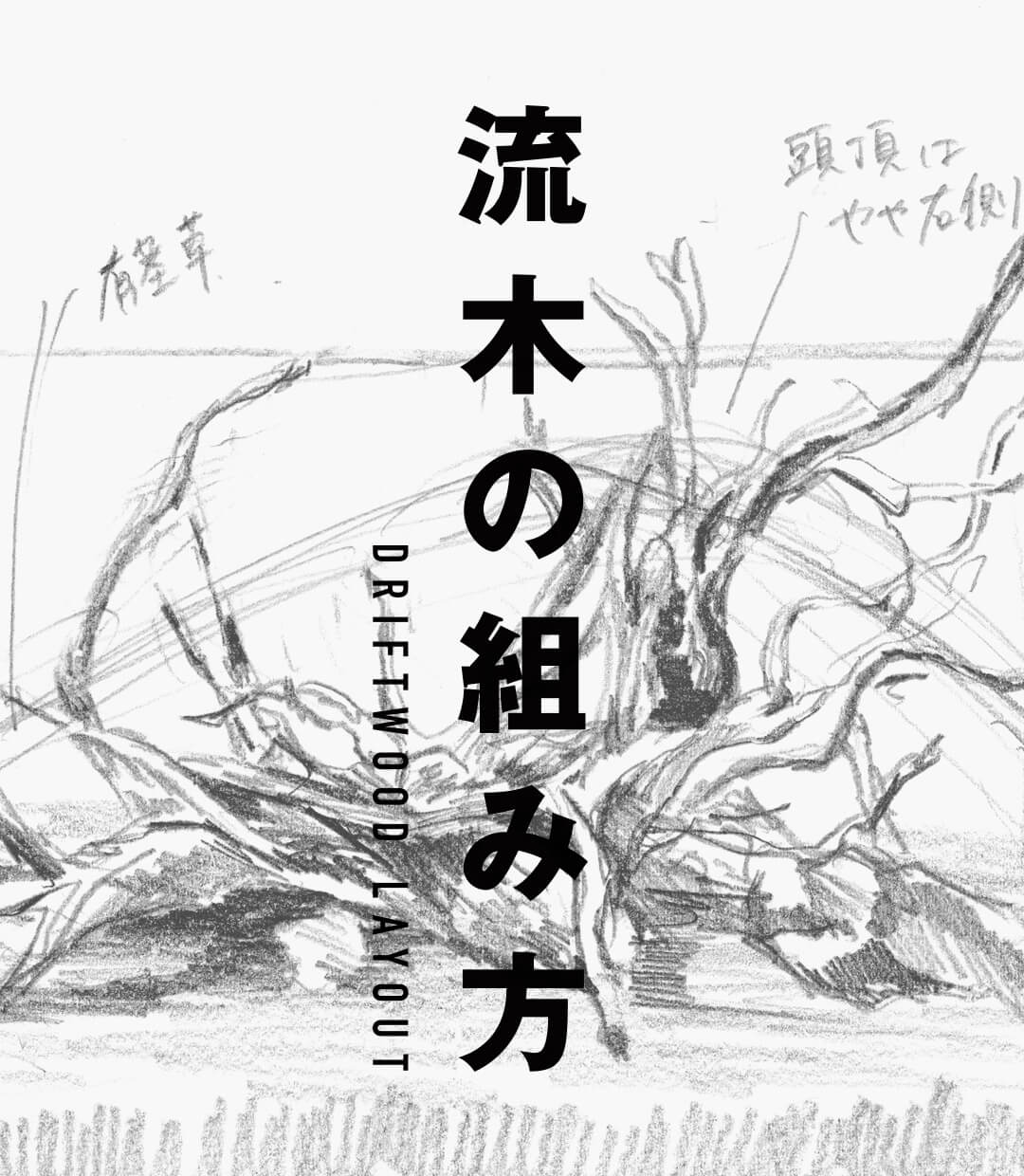 素材で決まる水景の印象-流木の組み方-