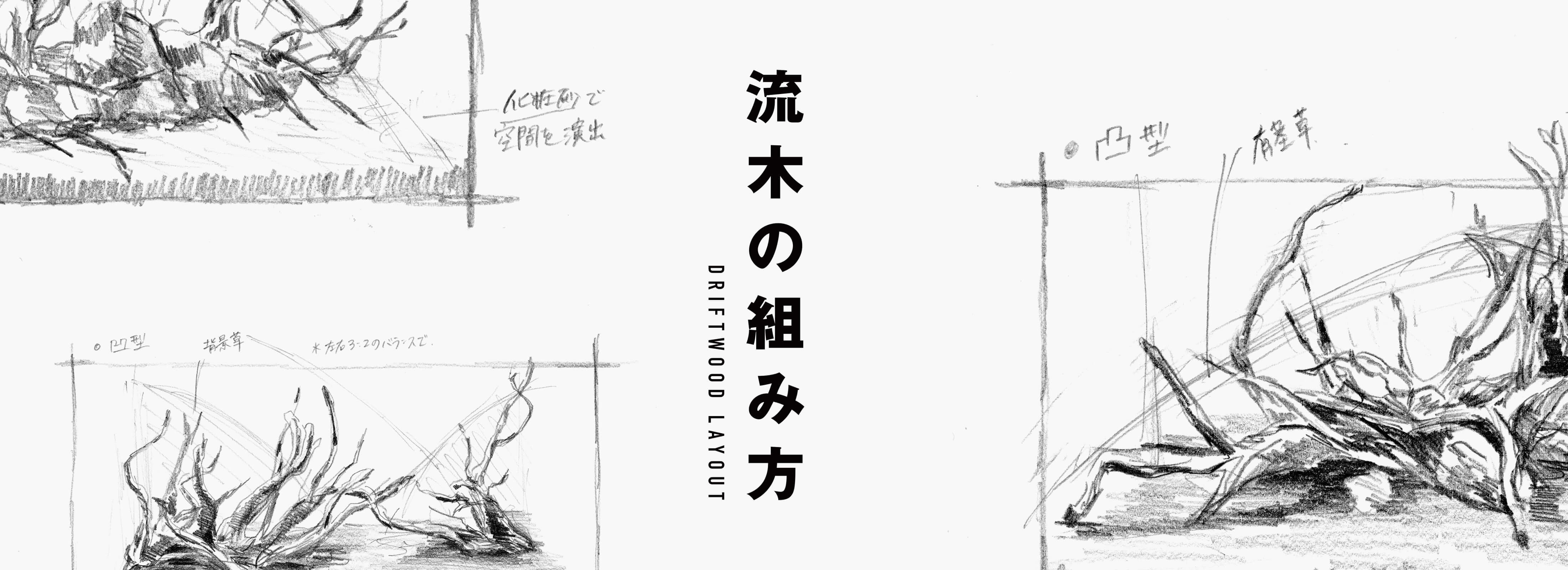 素材で決まる水景の印象-流木の組み方-