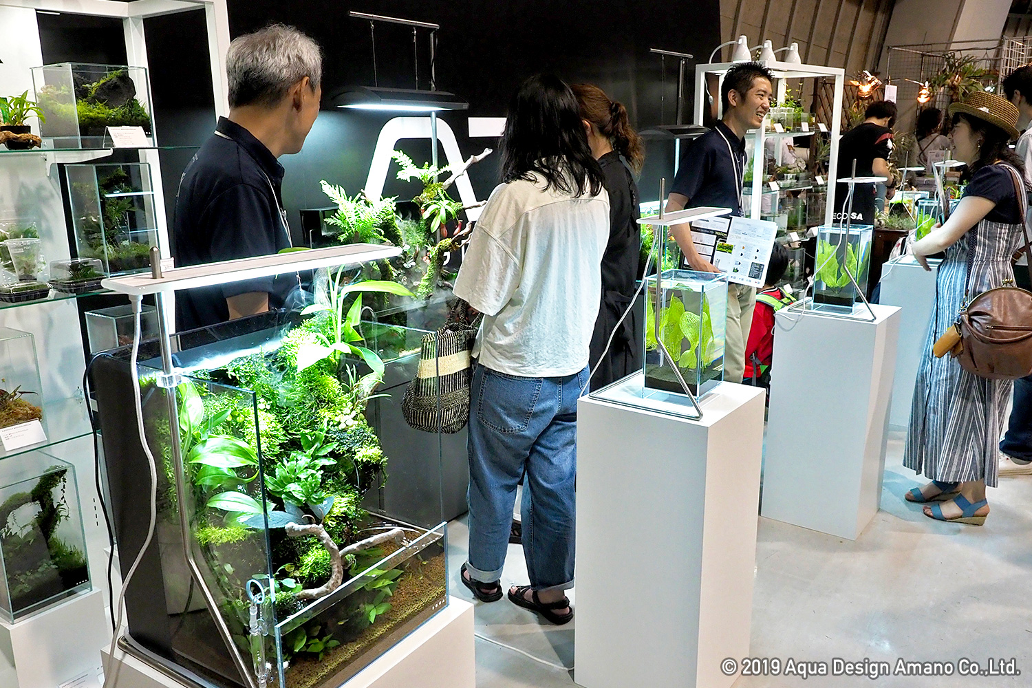 植物総合イベント 天下一植物界 レポート News Dooa