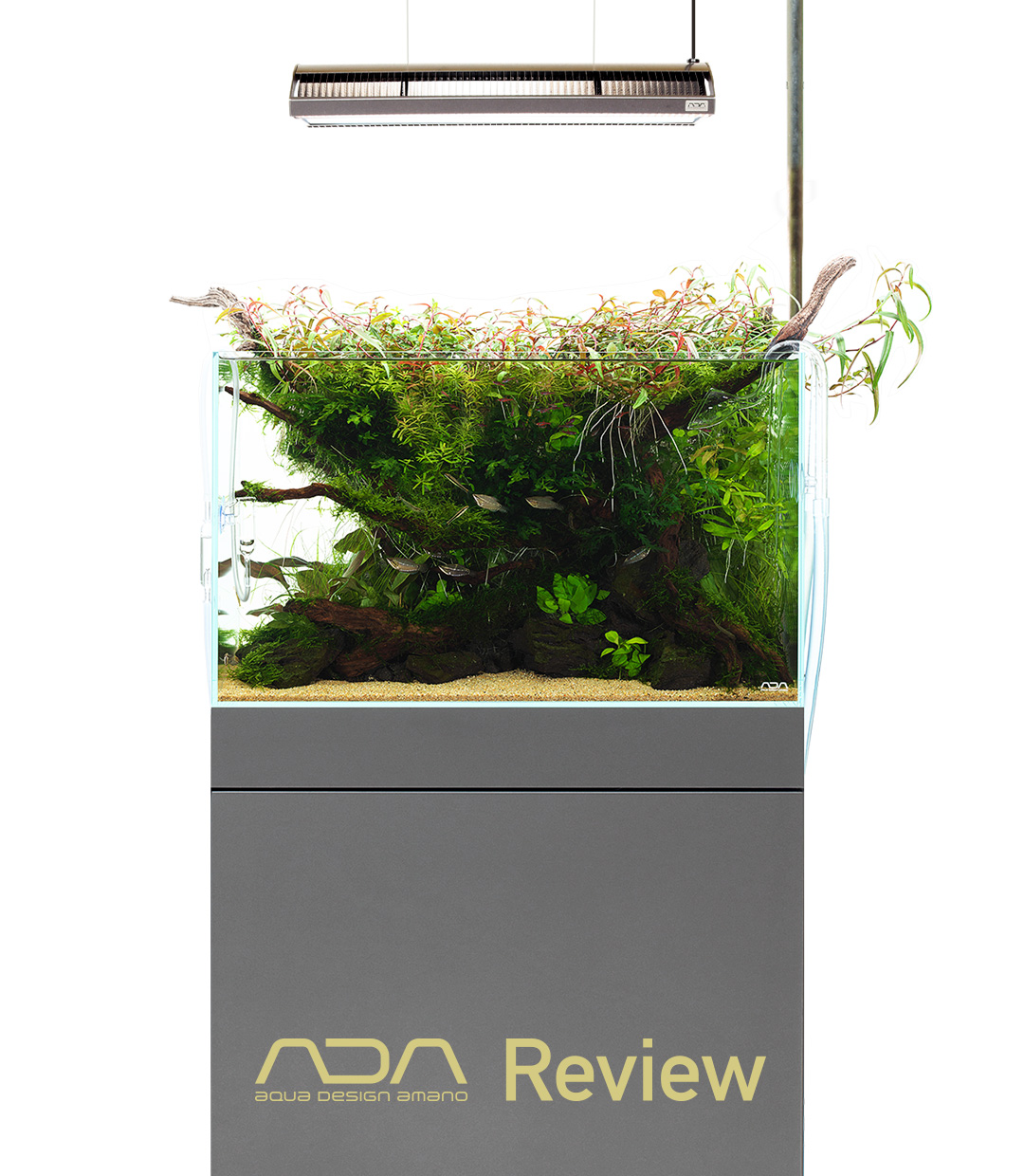 ADA Review 「一歩進んだ60㎝水槽システム」 | AQUA DESIGN AMANO
