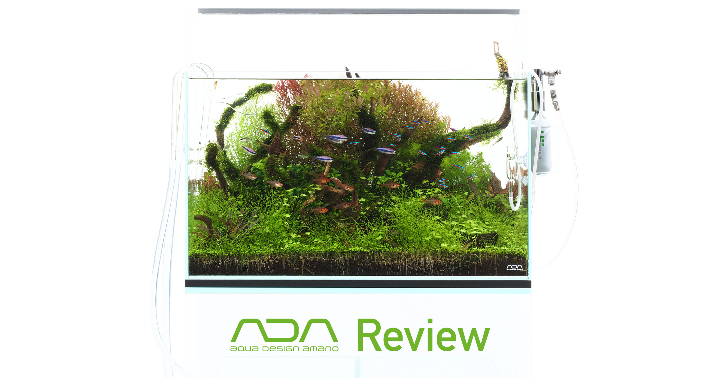 ADA Review 「基本の60㎝水槽システム」 | AQUA DESIGN AMANO