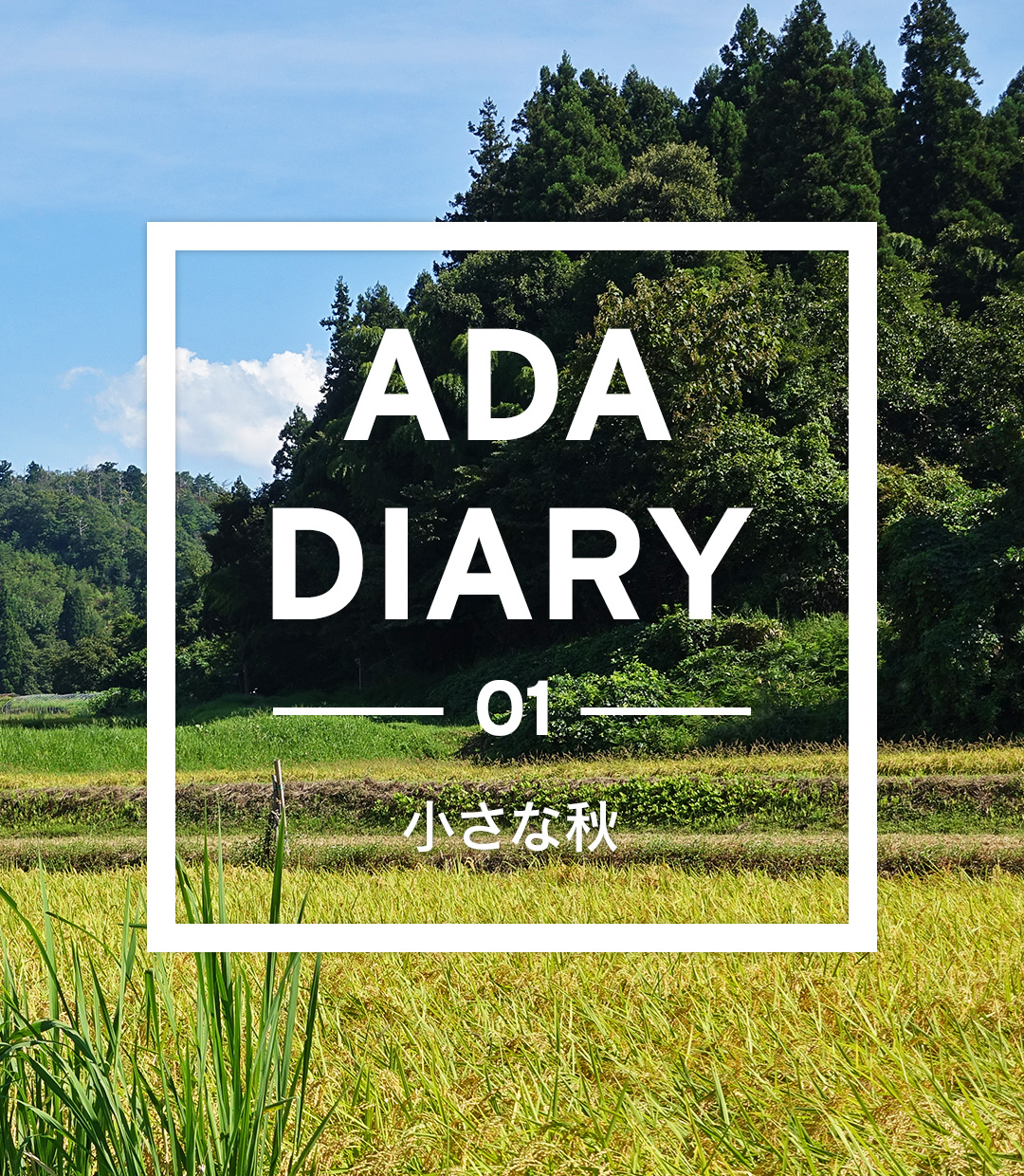 ADA DIARY「小さな秋」