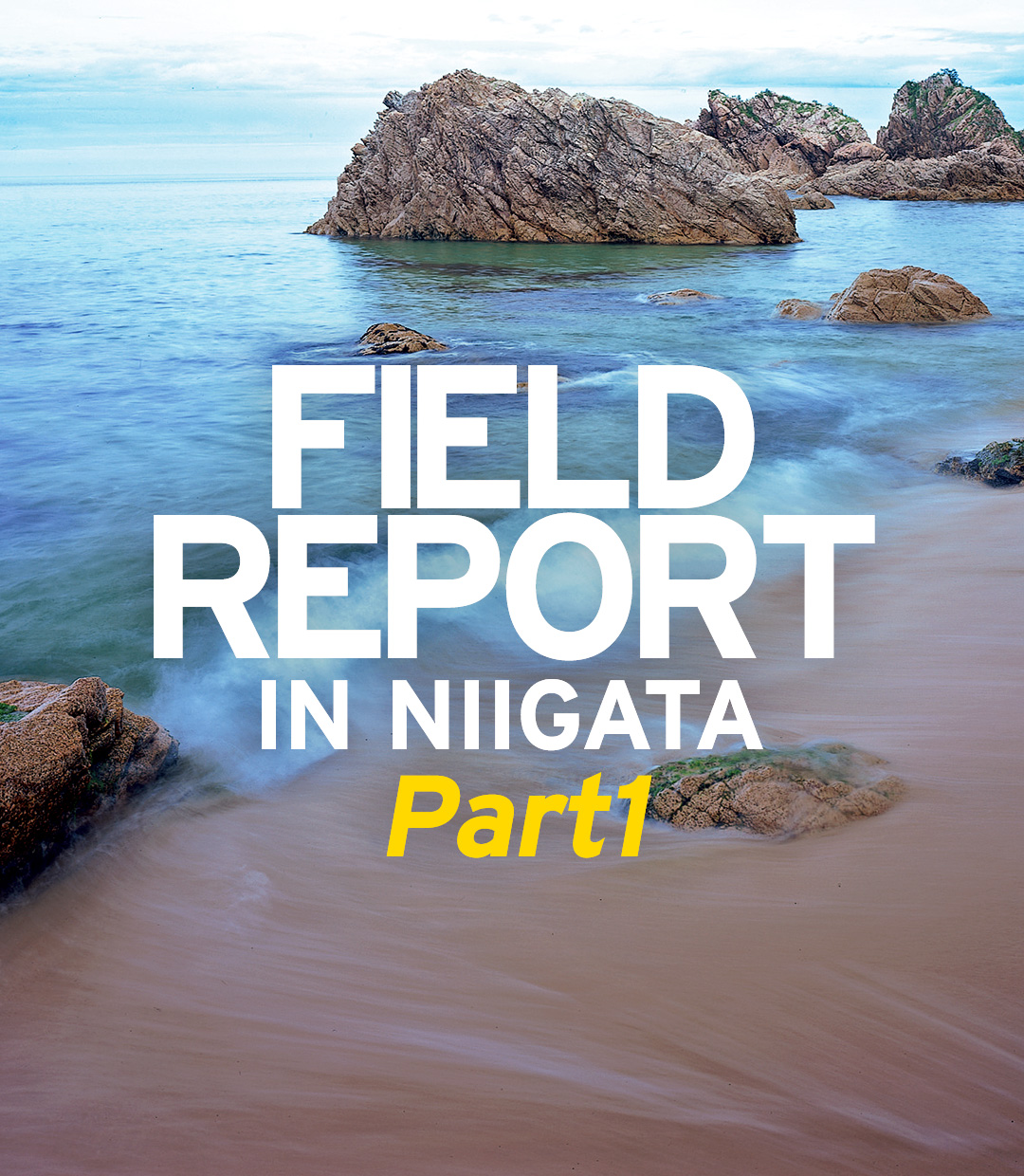 FIELD REPORT －自然から学ぶ石組のヒント Part1－