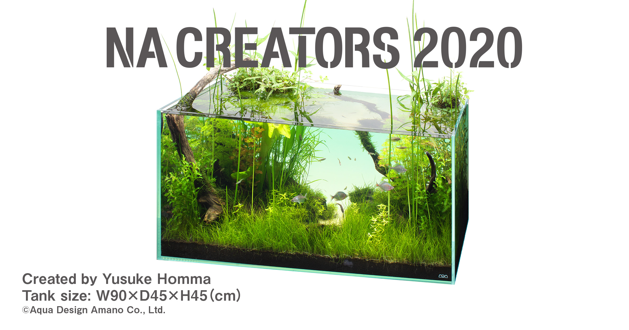 NATURE IN THE GLASS 「失われた潟」 | AQUA DESIGN AMANO