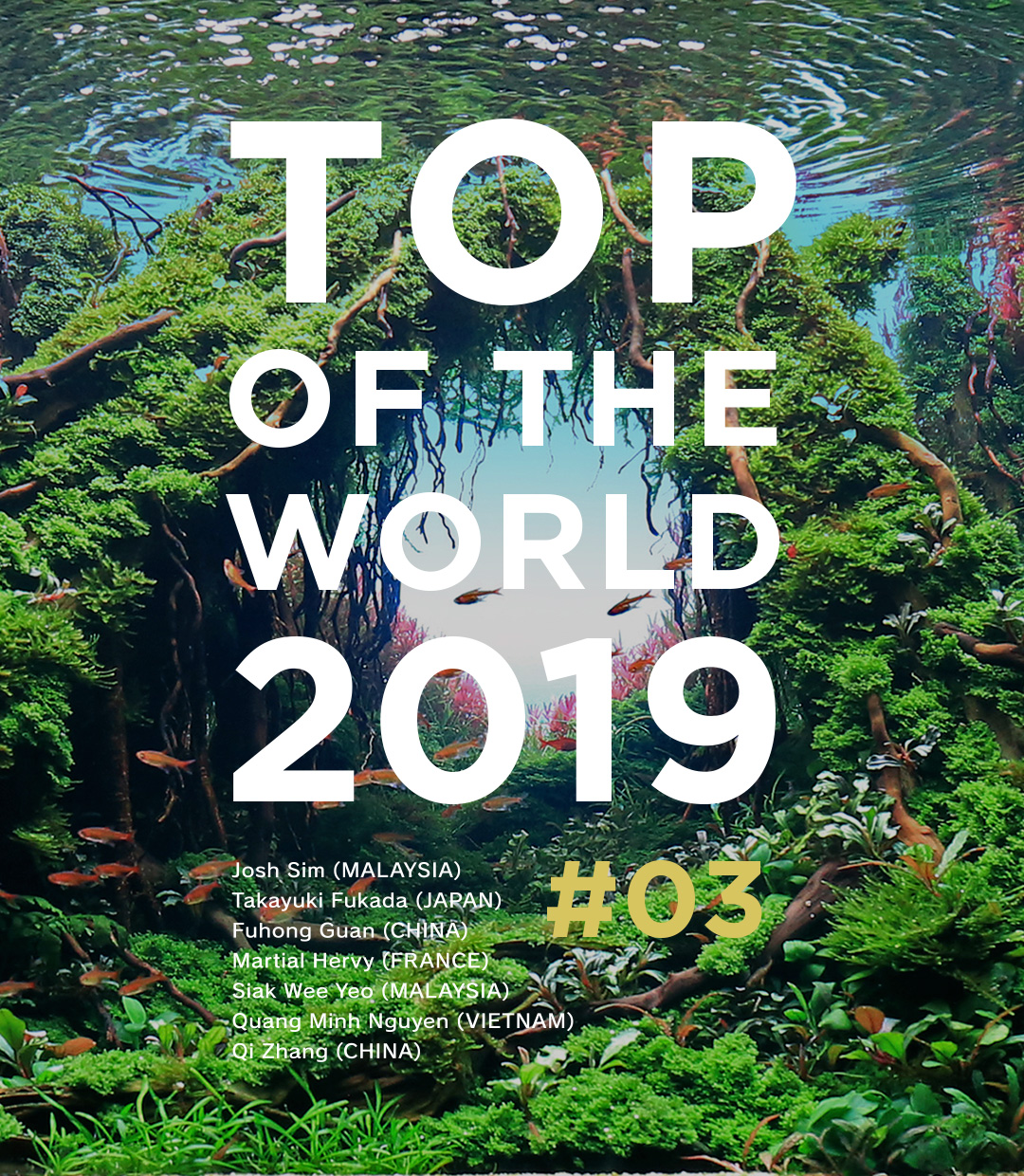 TOP OF THE WORLD 2019 #03