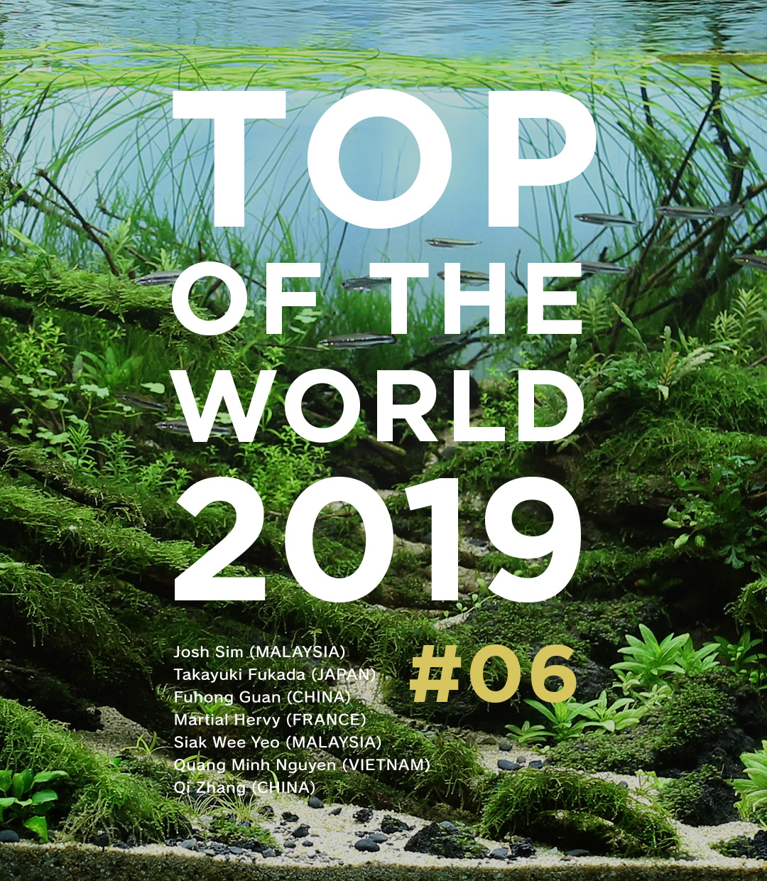 TOP OF THE WORLD 2019 #06