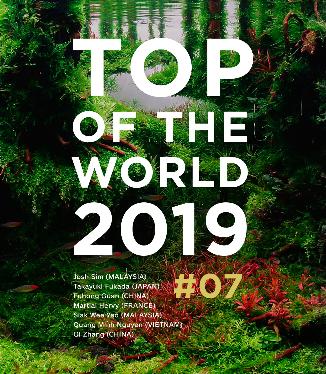 TOP OF THE WORLD 2019 #07
