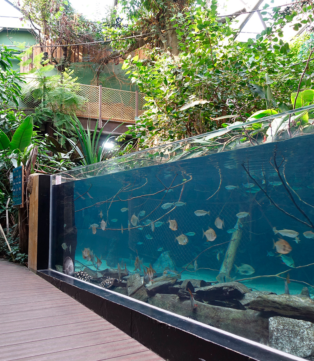 ヨーロッパ最大の淡水魚水族館 「アクアティス（Aquatis）」を訪ねて