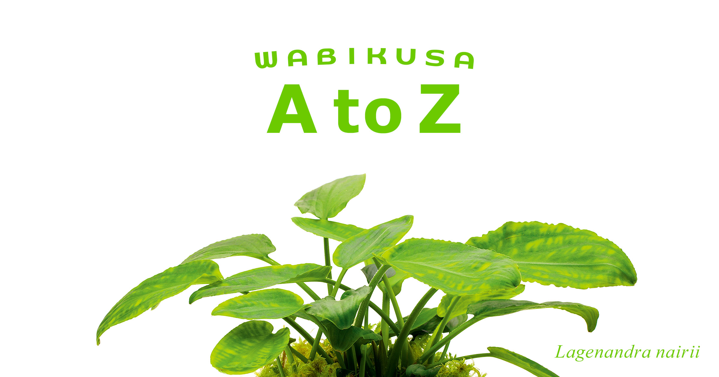 20200212_atoz_og.jpg
