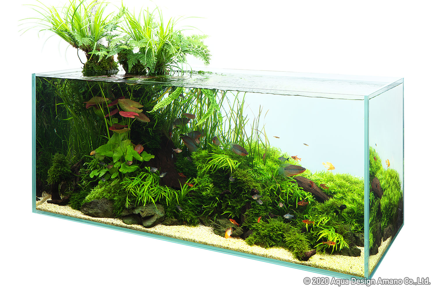 未使用自宅保管ADA NATURE AQUARIUM