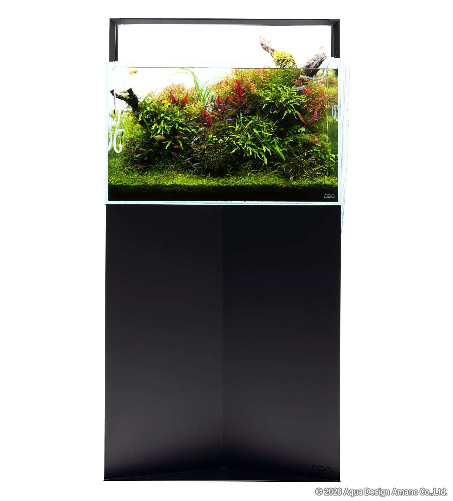 ADA AQUASKY G 60cm  アクアデザインアマノ