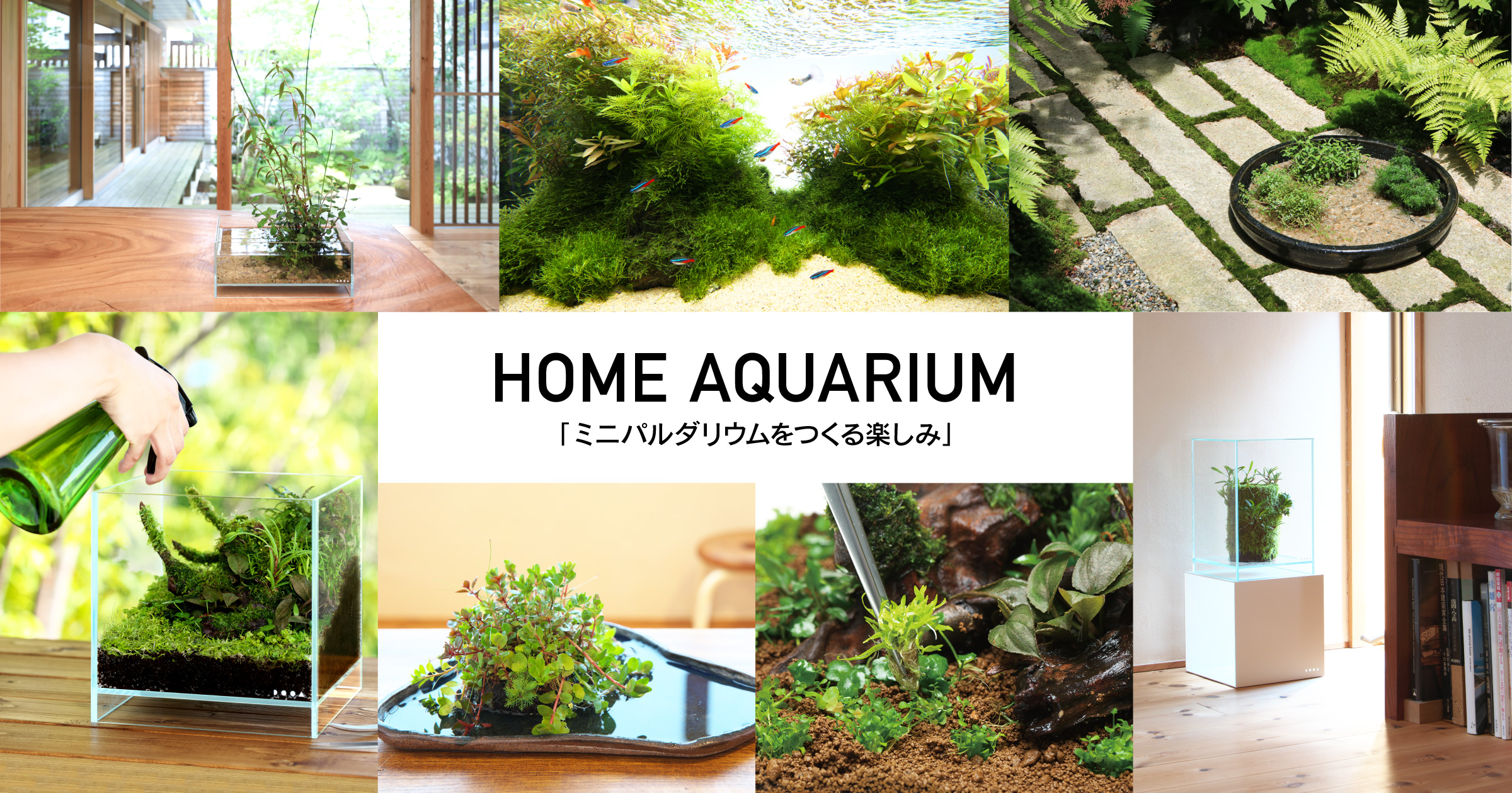 HOME AQUARIUM「ミニパルダリウムをつくる楽しみ」