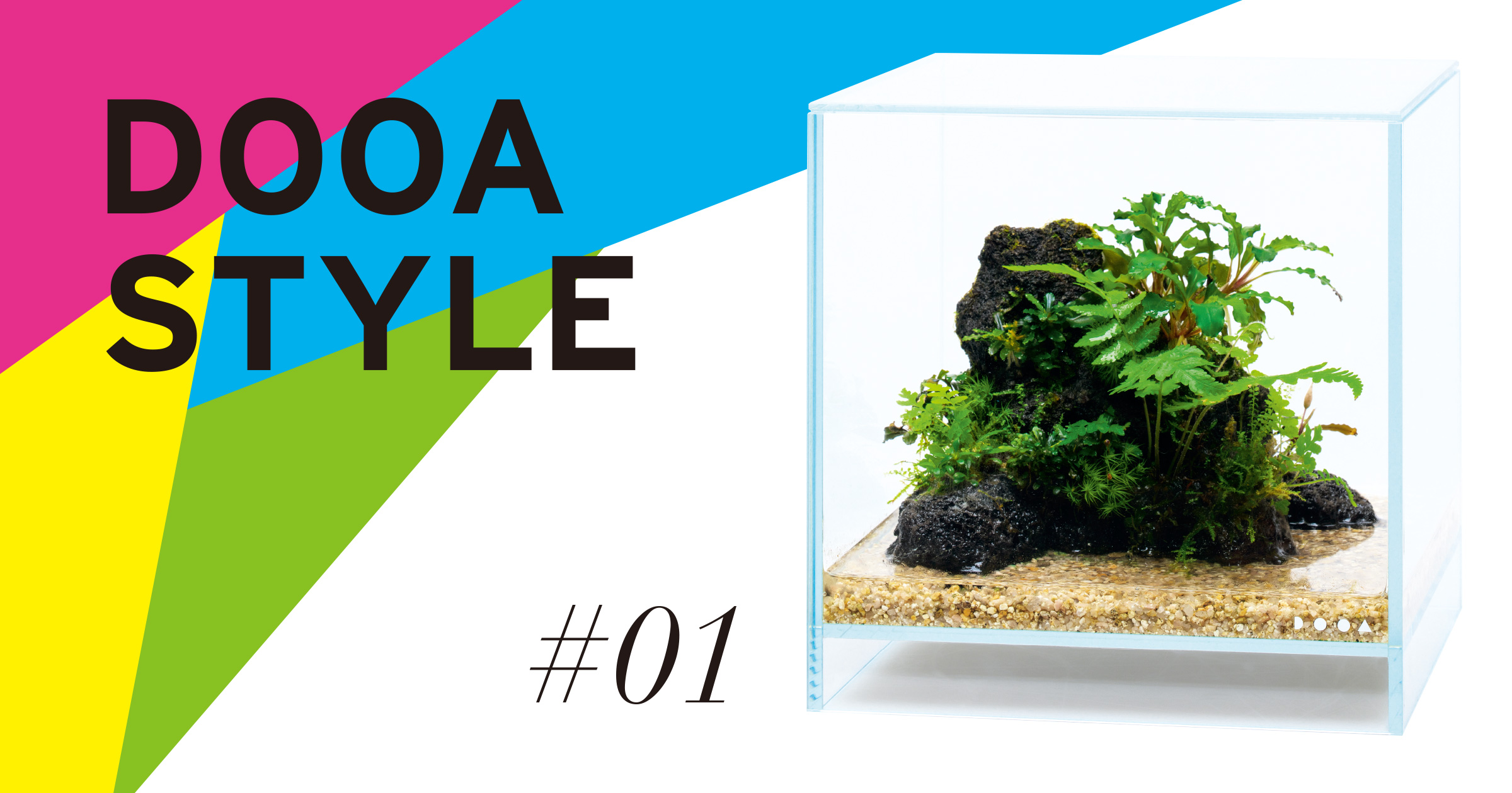 DOOA STYLE #1 水槽の中、だけど開放的に。