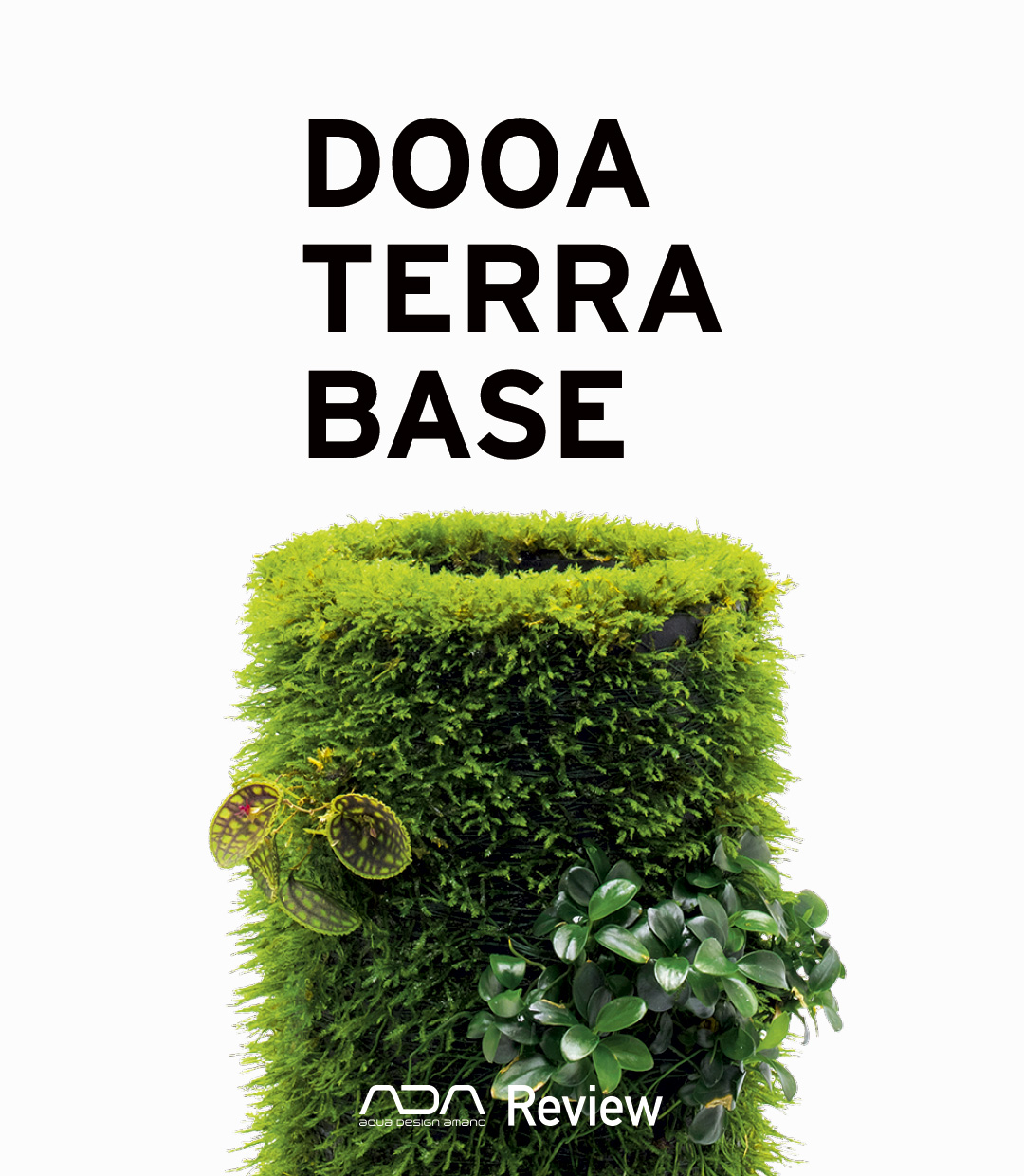 DOOA TERRA BASE 「苔に悠久の時を感じながら植物本来の姿を楽しむ」