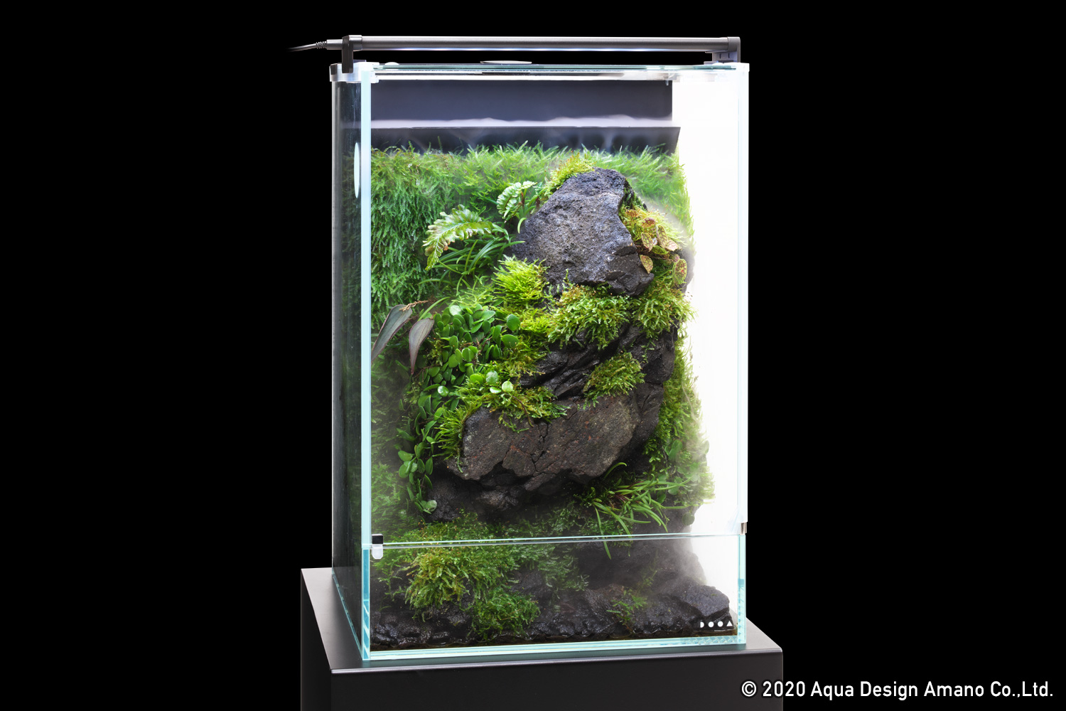 Enjoy DOOA 「高湿度を好む苔や植物 システムパルダで “石と苔の涼”を