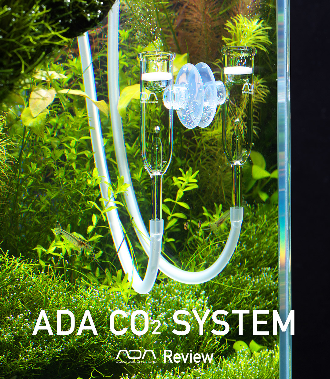 ADA CO2 SYSTEM 「CO2添加で光合成を促進する」