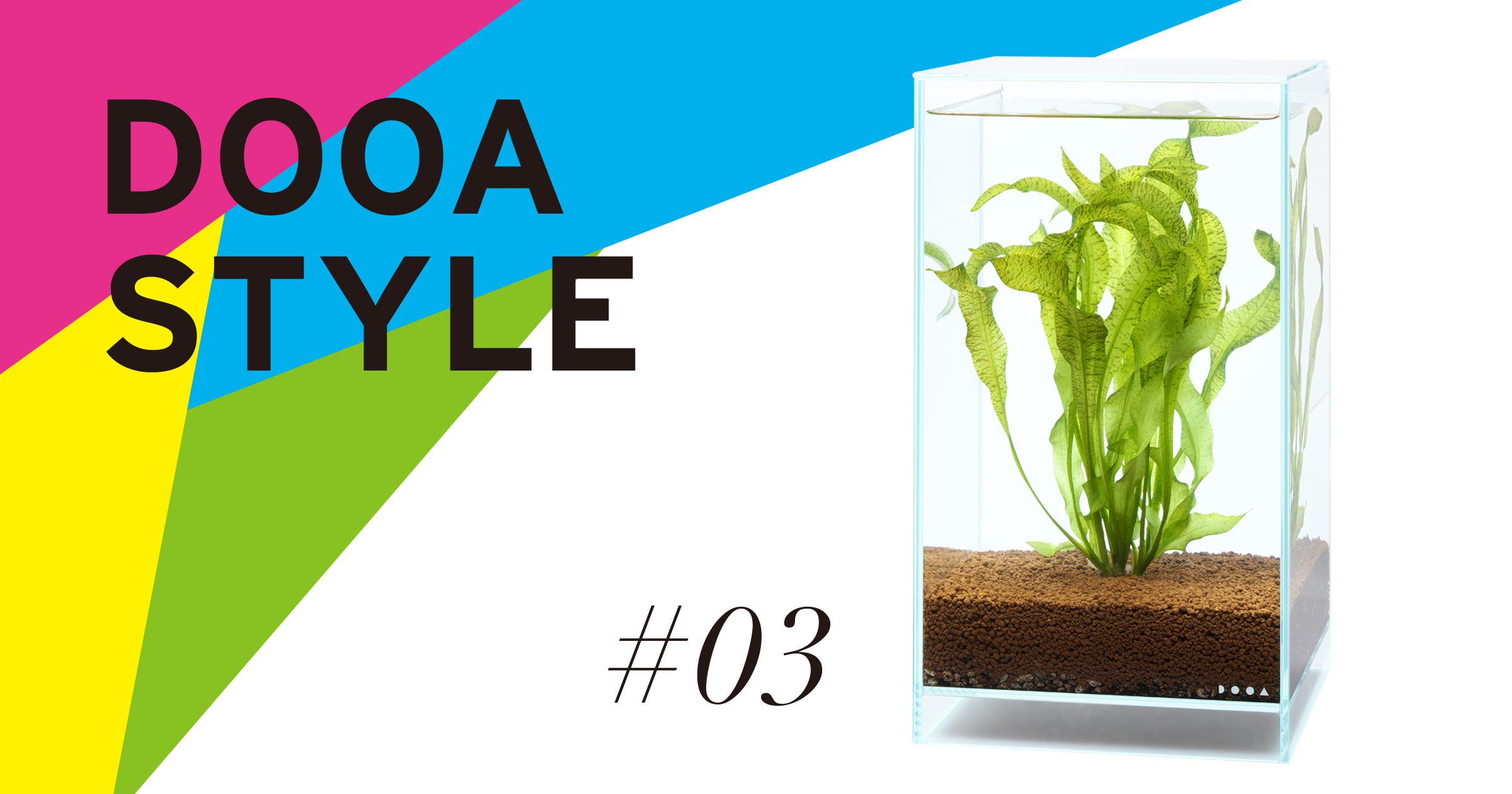 DOOA STYLE #3 水草らしい佇まい。