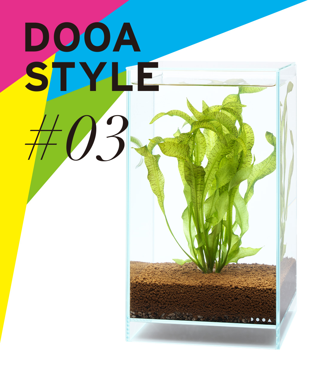 DOOA STYLE #3　水草らしい佇まい。