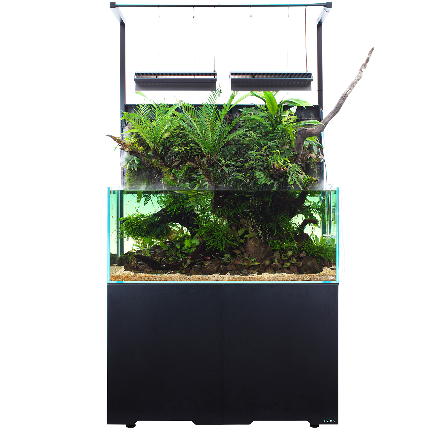 MIZUKUSA MIST WALL 「熱帯植物を繁茂させる最新システム」 | AQUA