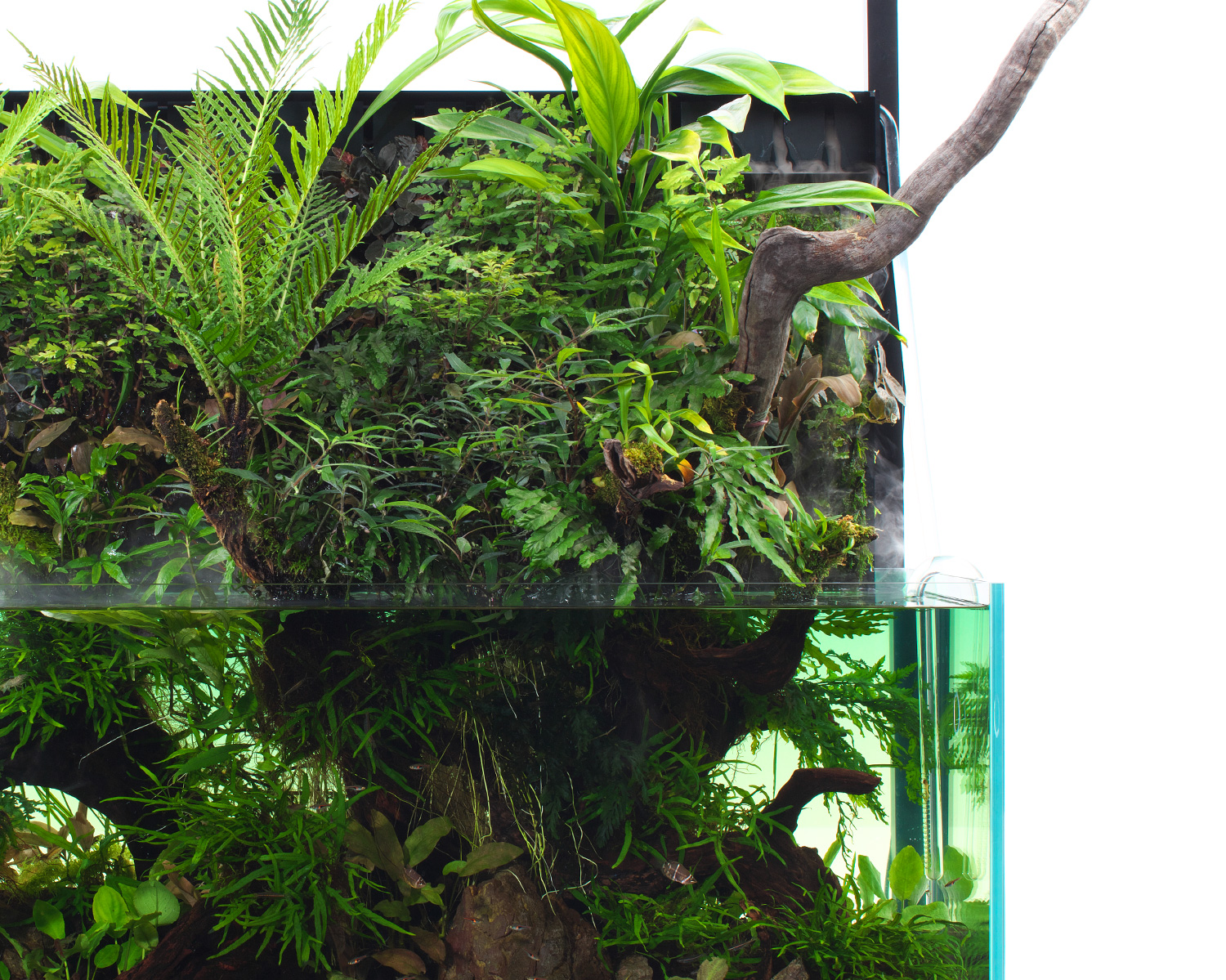 MIZUKUSA MIST WALL 「熱帯植物を繁茂させる最新システム」 | AQUA ...