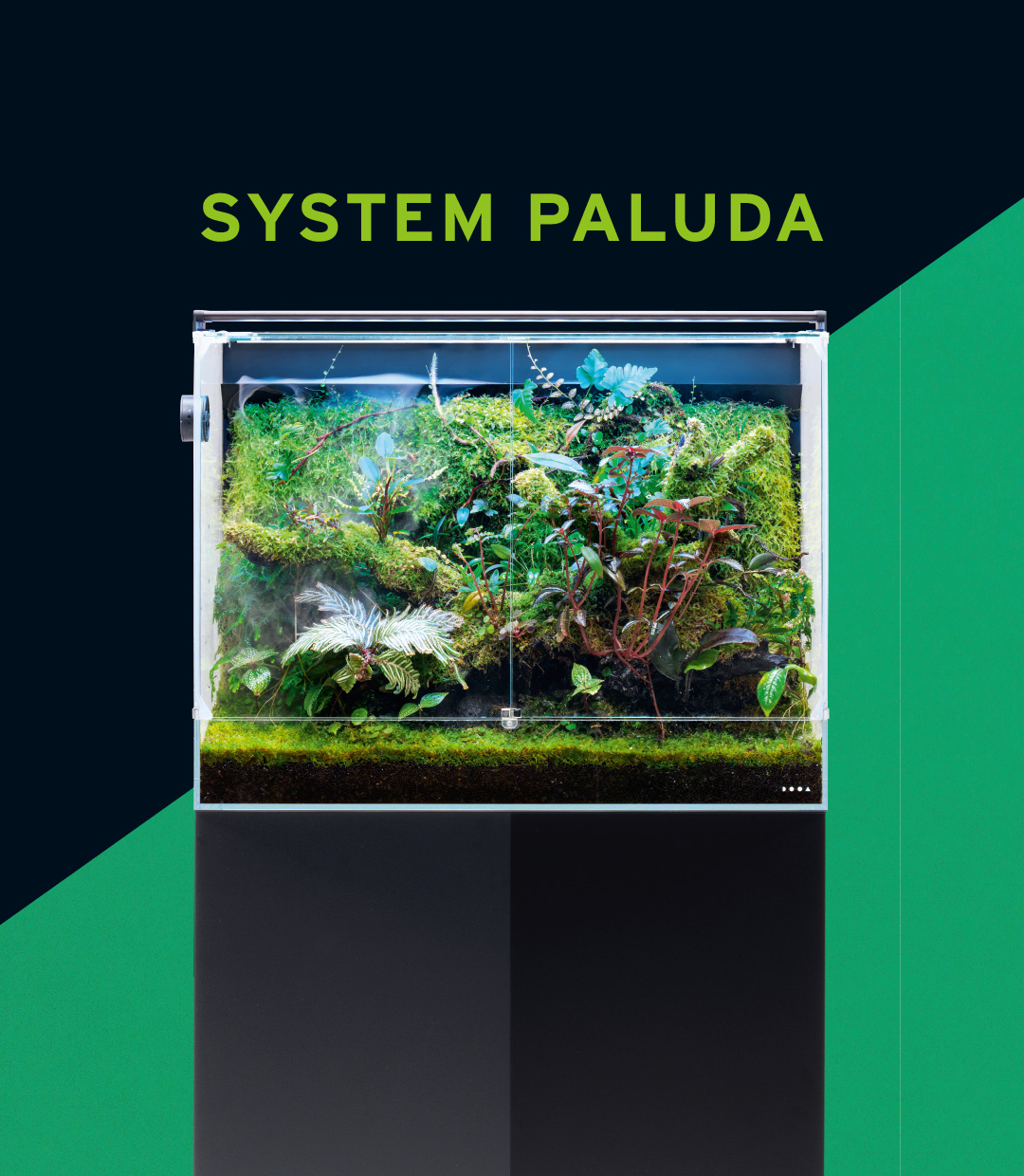 SYSTEM PALUDA 60「青い光と霧で 熱帯雲霧林の環境を再現」