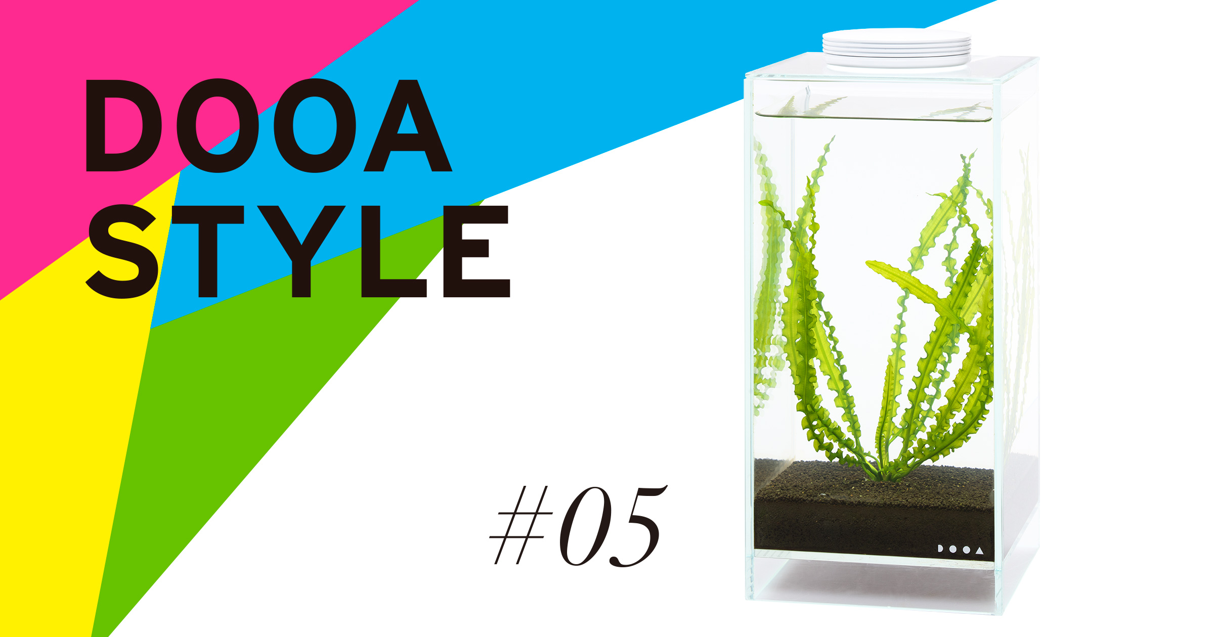 DOOA STYLE #5 アフリカ独特の 波打ち水草。