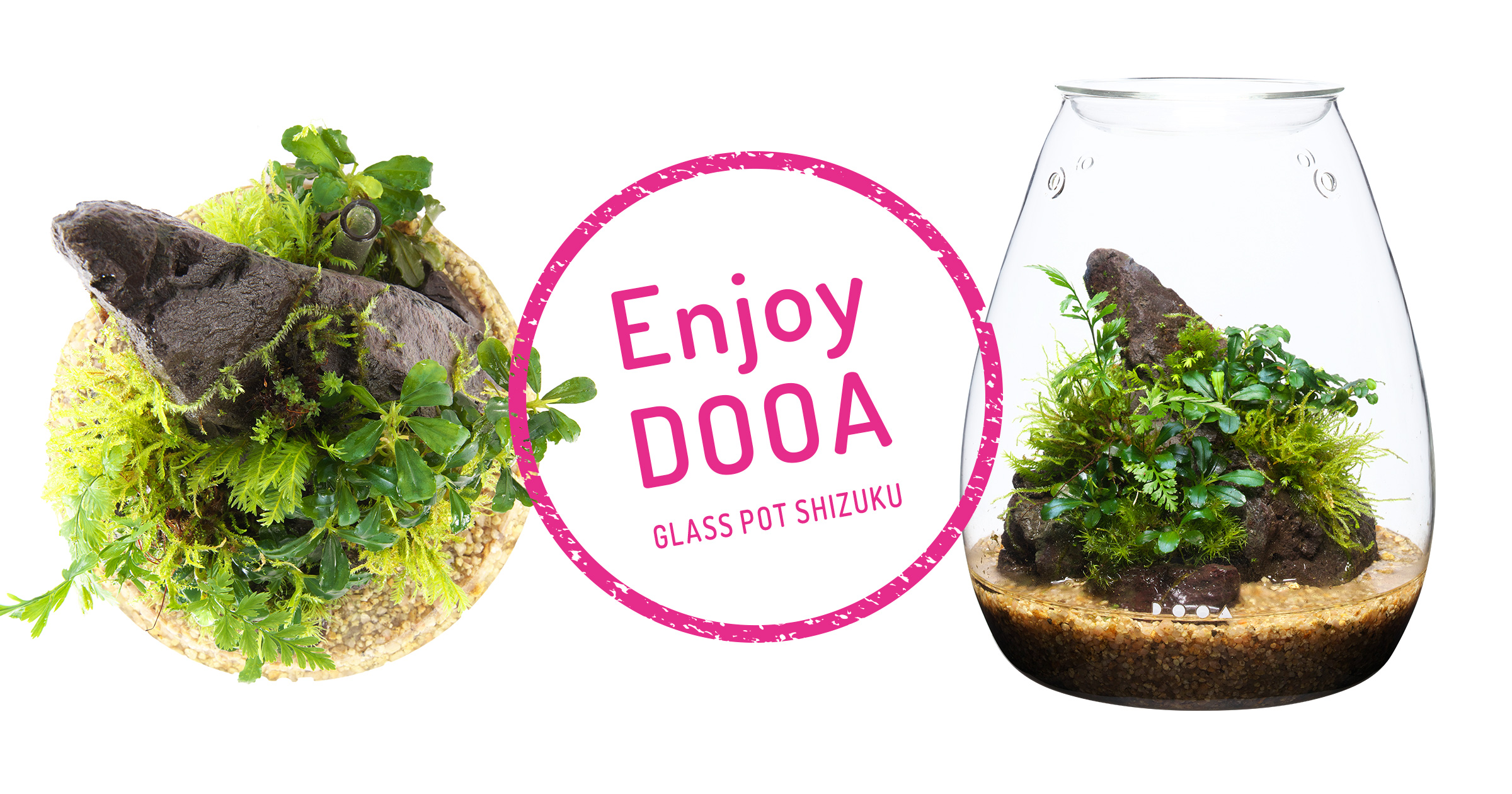 Enjoy DOOA「GLASS POT SHIZUKU」