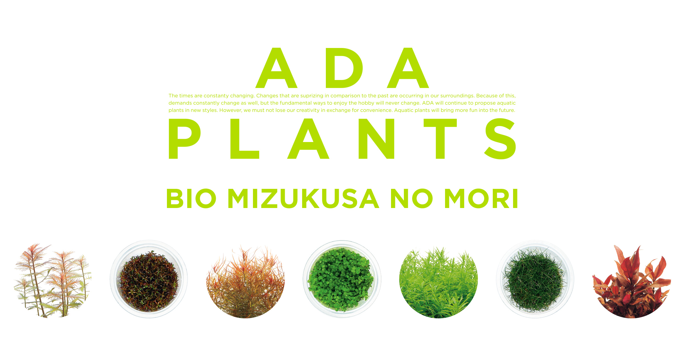 ADA PLANTS「BIO みずくさの森 65種類を一挙紹介」 | AQUA DESIGN AMANO