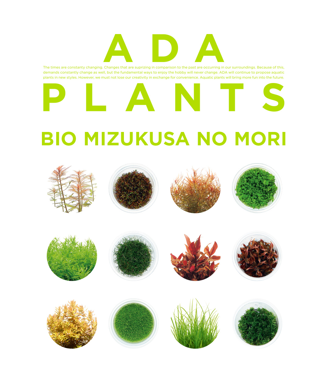 ADA PLANTS「BIO みずくさの森 65種類を一挙紹介」