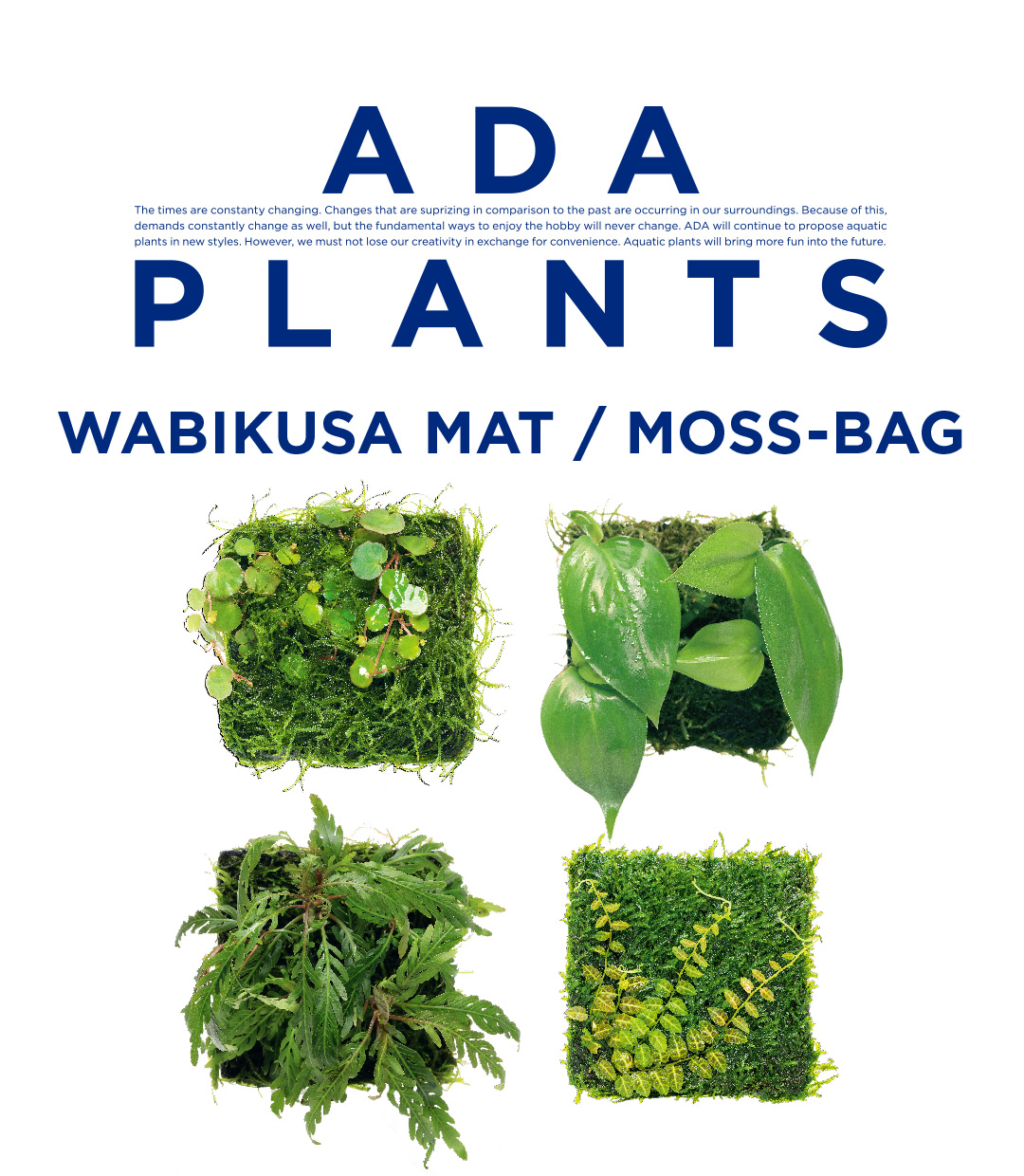 ADA PLANTS「佗び草マット/モスバッグ 10種」