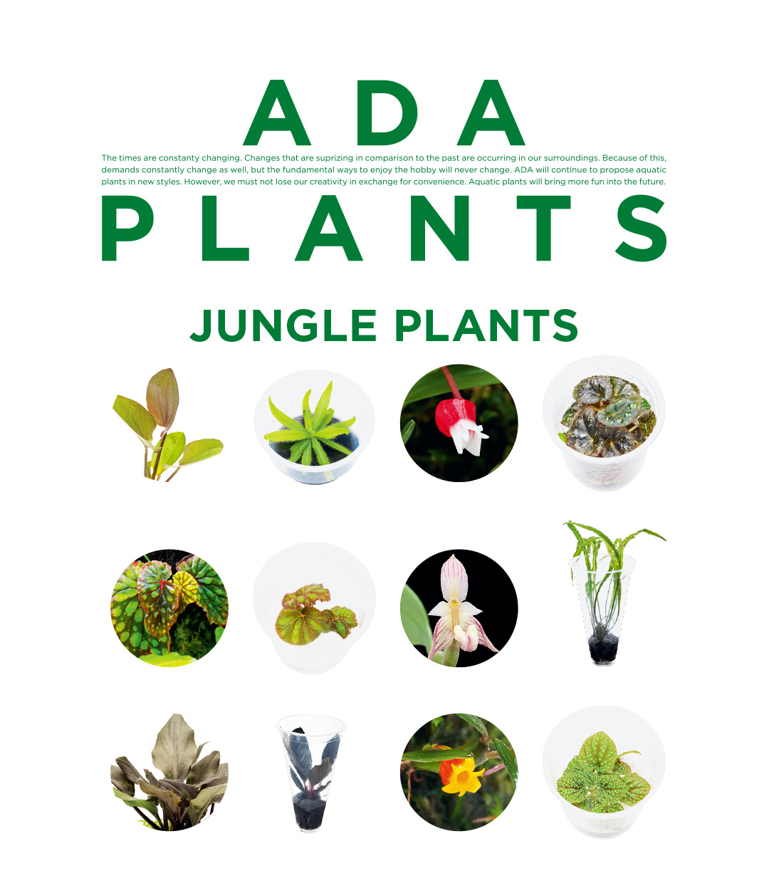 ADA PLANTS「魅惑のジャングルプランツ 45種」