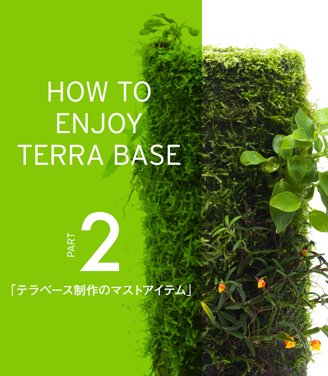 HOW TO ENJOY TERRA BASE PART2 「テラベース制作のマストアイテム」