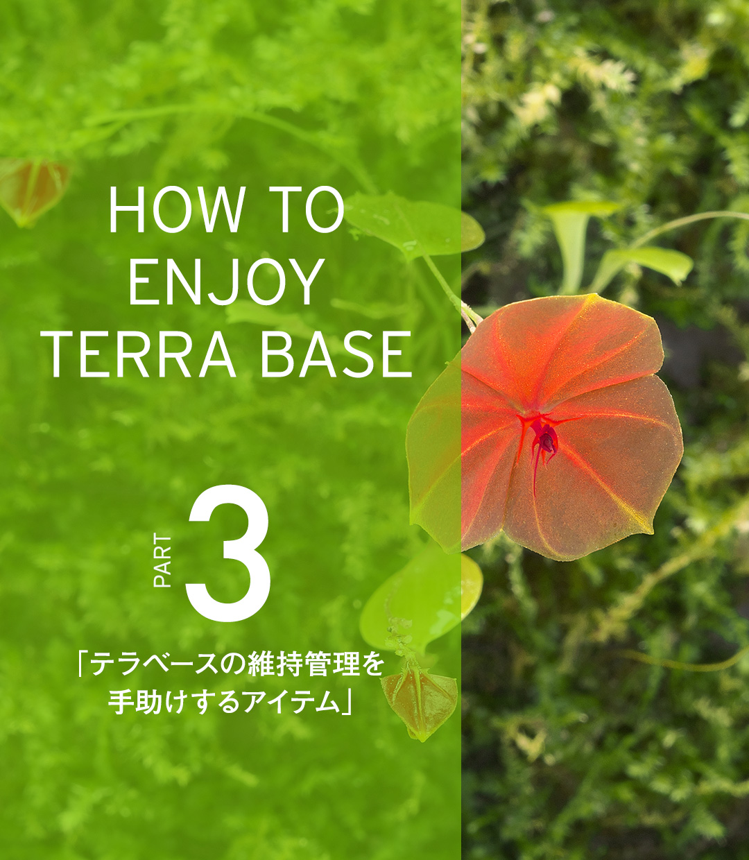 HOW TO ENJOY TERRA BASE PART3「テラベースの維持管理を手助けするアイテム」