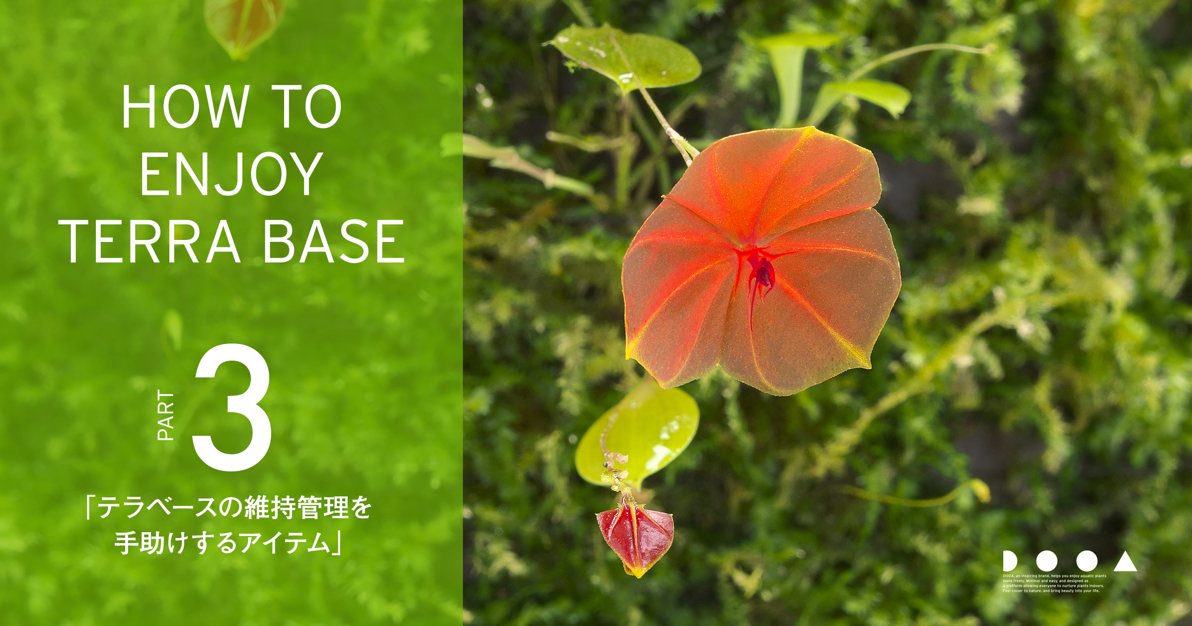 HOW TO ENJOY TERRA BASE PART3「テラベースの維持管理を手助け