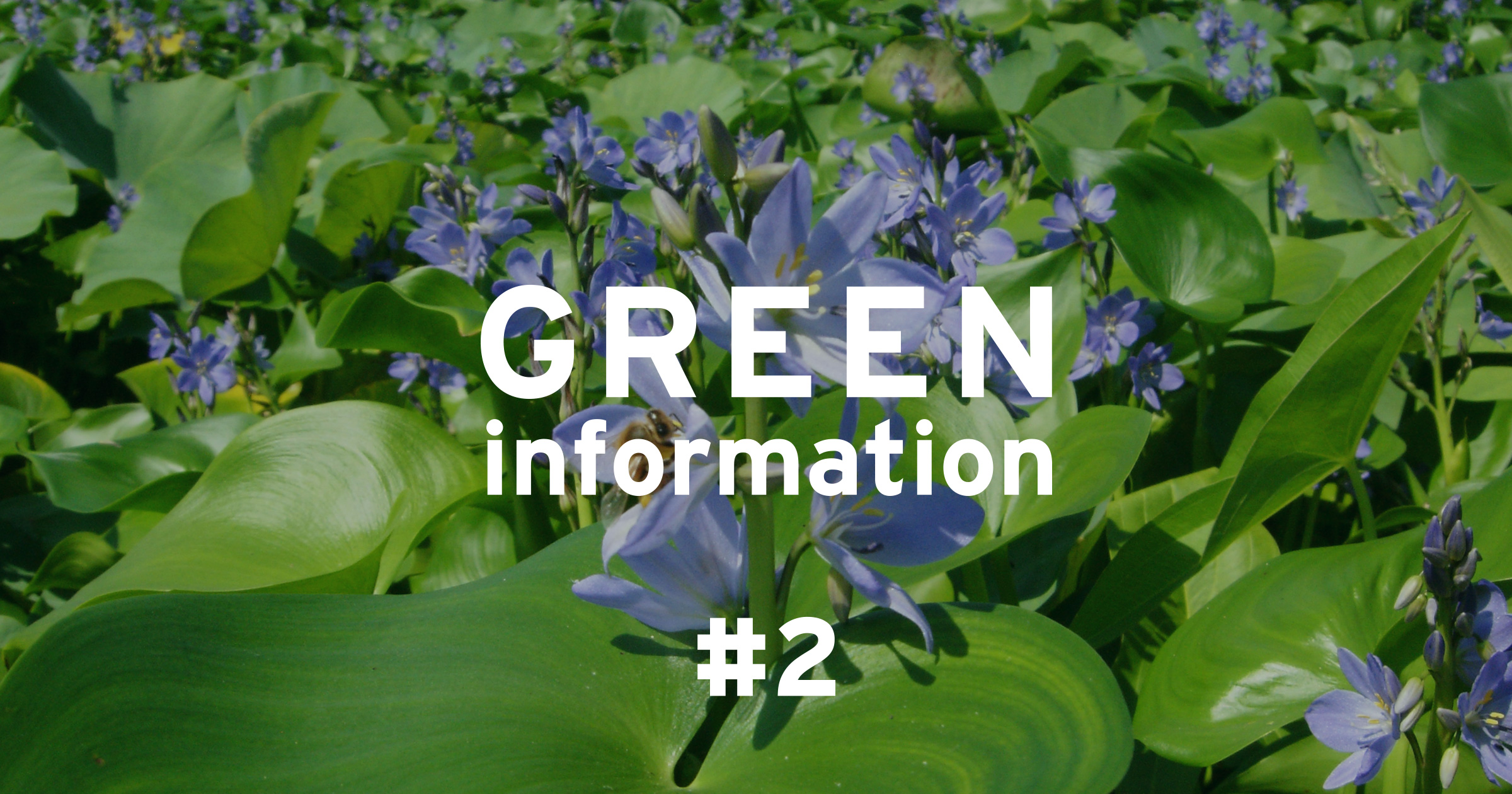 GREEN information #2「特定外来生物について」