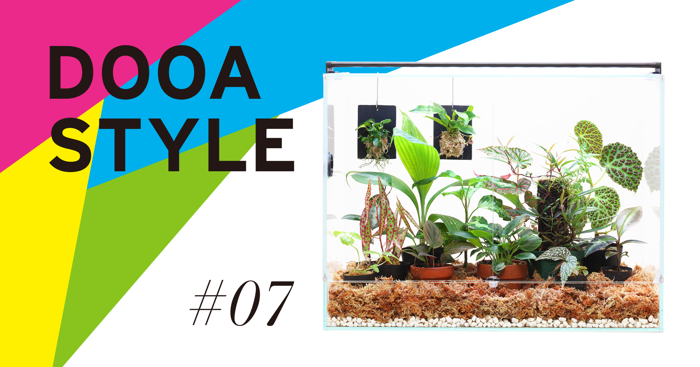 DOOA STYLE #7 ジャングルプランツのリビングルーム