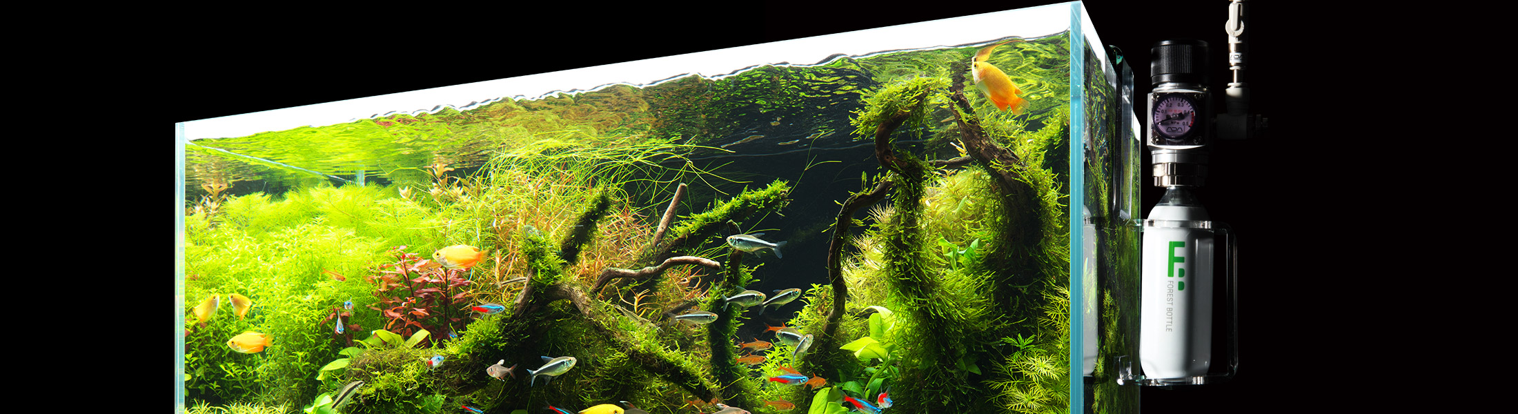 NA PRODUCTS STORY #02 「CO2 SYSTEM」 | AQUA DESIGN AMANO