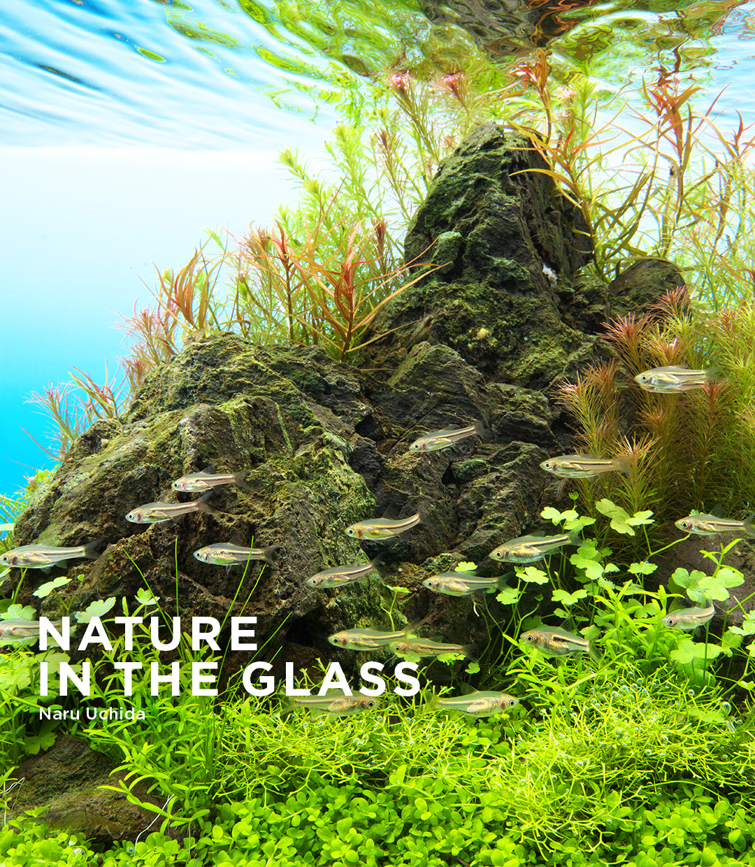 NATURE  IN THE GLASS 「守石」