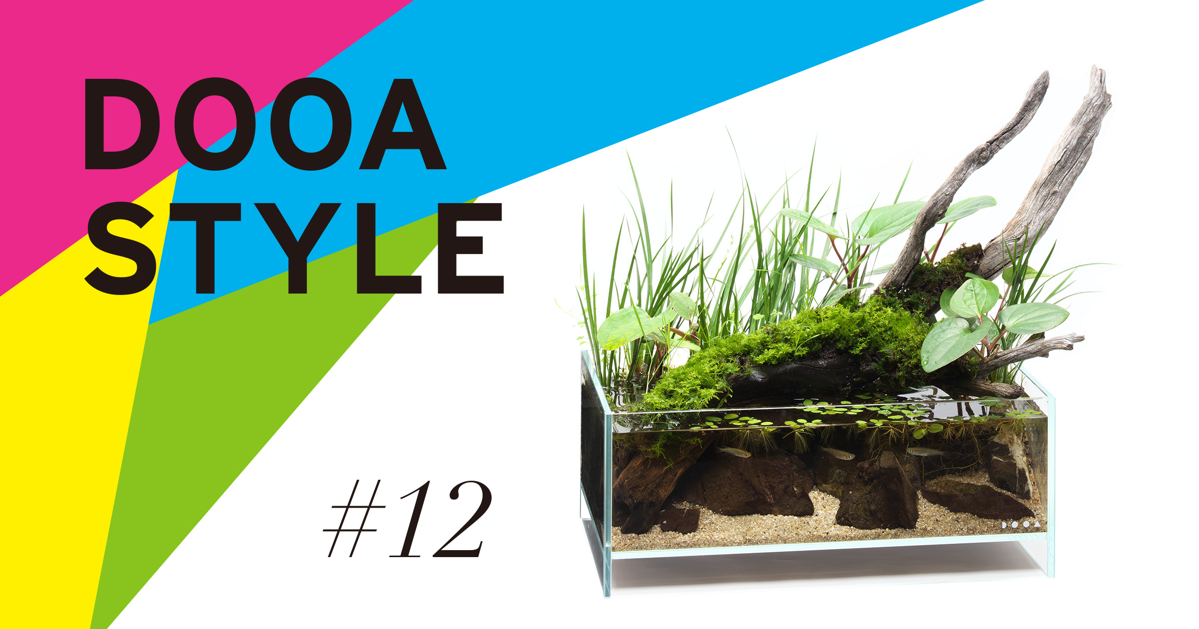 DOOA STYLE #12 流木に寄り添う初夏の原風景。