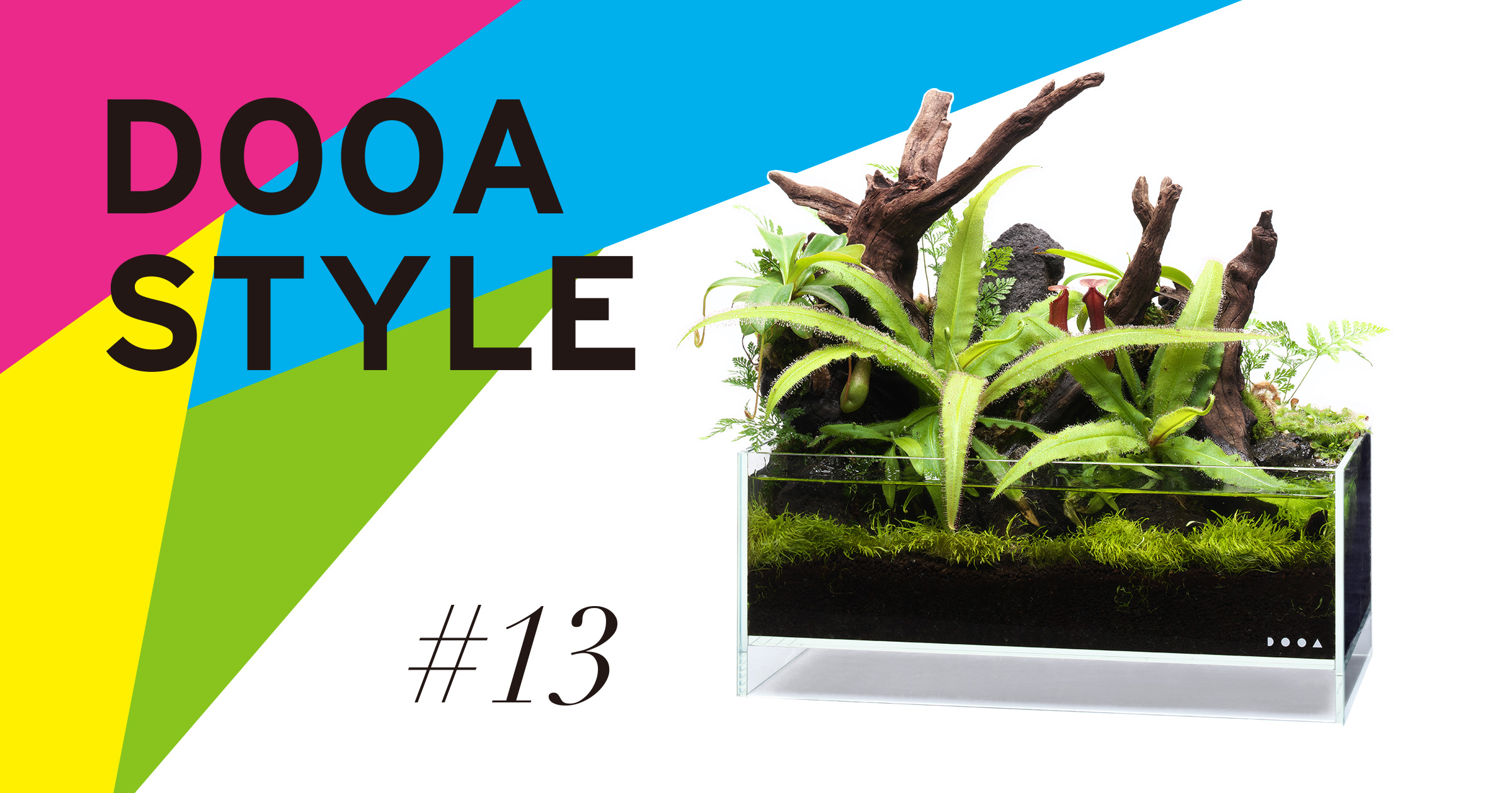 DOOA STYLE #13 食虫植物をオープンスタイルで。